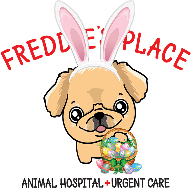 Freddie's Place Animal Hospital and Urgent Care in Vista California