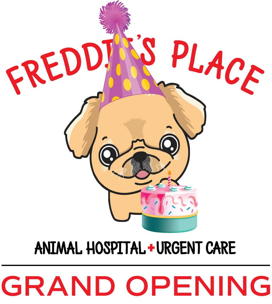 They Call Me, Mr. Skippy von Barkshire Freddie's Place