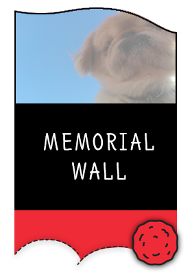 Pet Memorial Wall