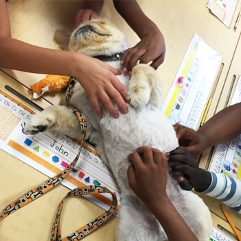 Kids rubbing Freddie Dogs' belly