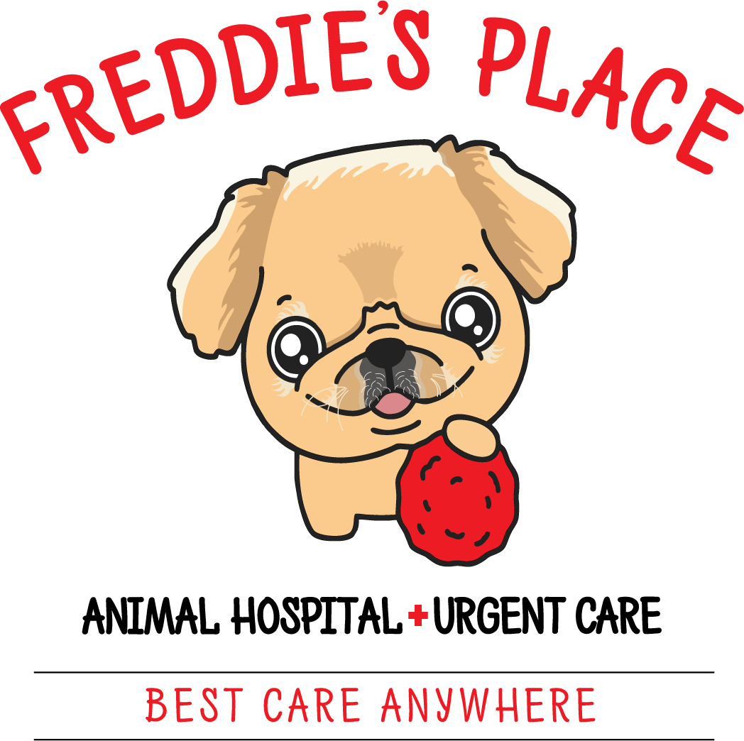 Freddie's Place Animal Hospital and Urgent Care in Vista California